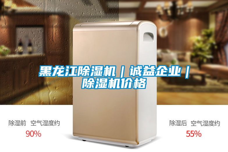 黑龍江除濕機|誠益企業|除濕機價格