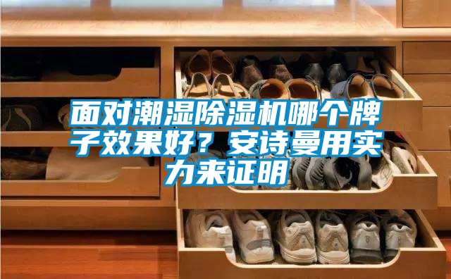 面對潮濕除濕機哪個牌子效果好？安詩曼用實力來證明